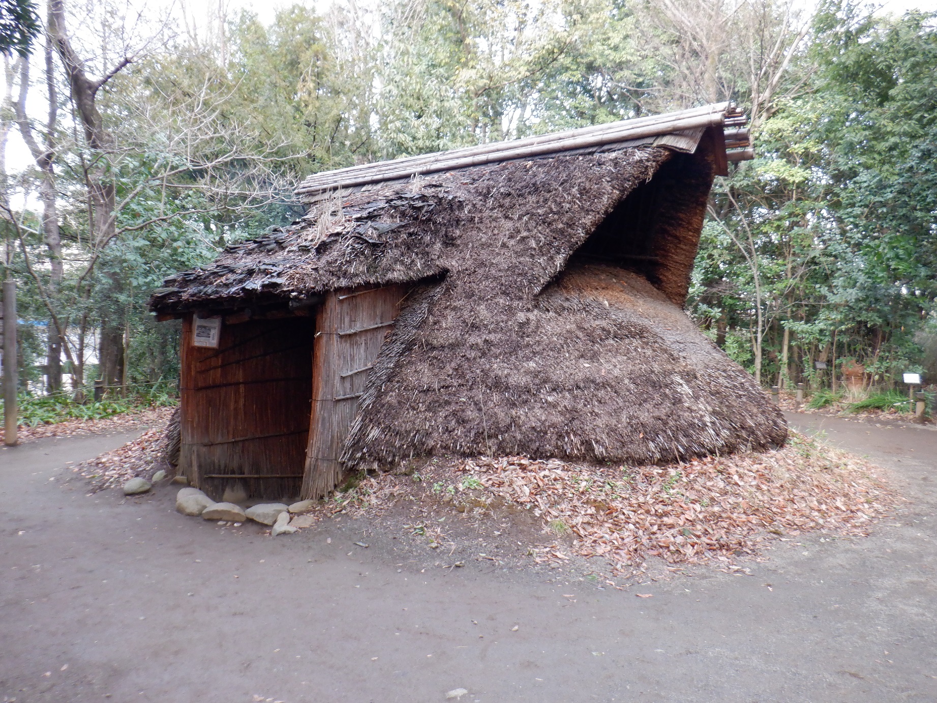 No57遺跡/復元住居