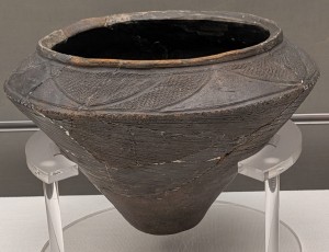 深鉢土器/曽谷貝塚/明治大学博物館/筆者撮影